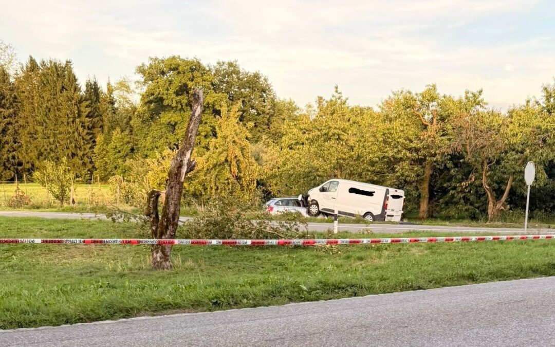 Verkehrsregelung nach Verkehrsumfall
